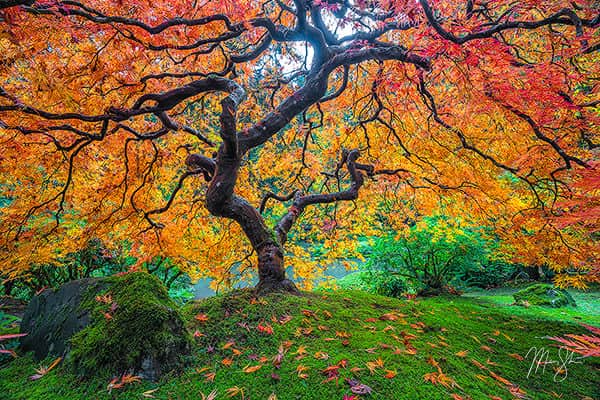 SOURCE:GOOGLE