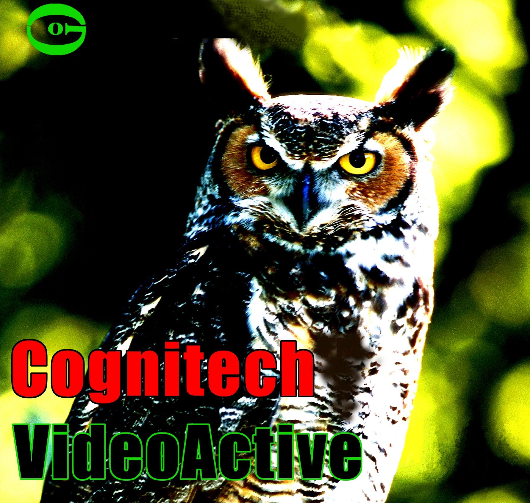 videoActive