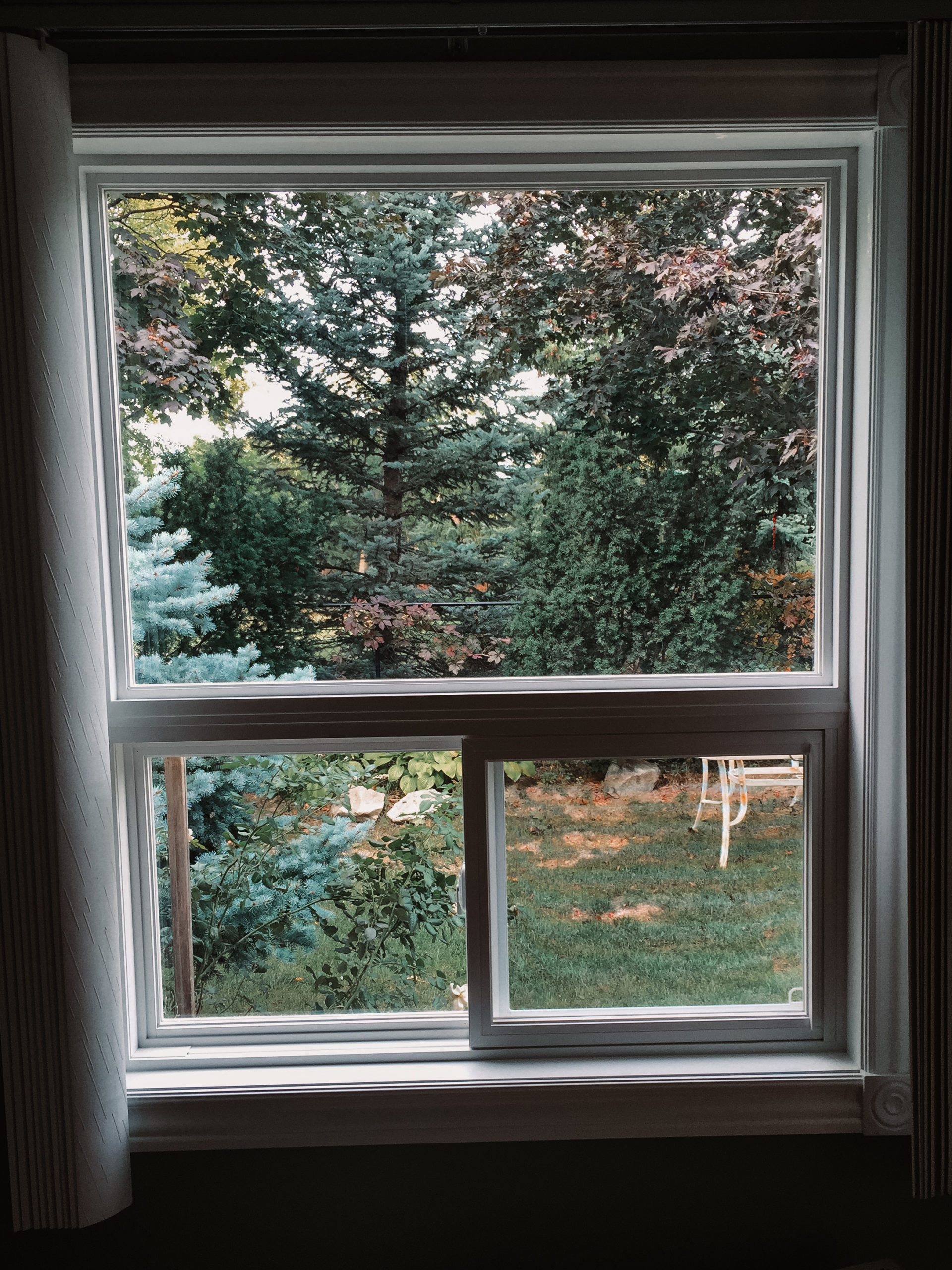 windows and doors