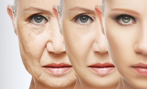 Anti-Aging Training